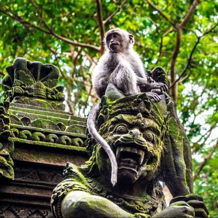 Discover Ubud: 2 Days Ubud Private Tour | ®ExcursionMania - Image 1