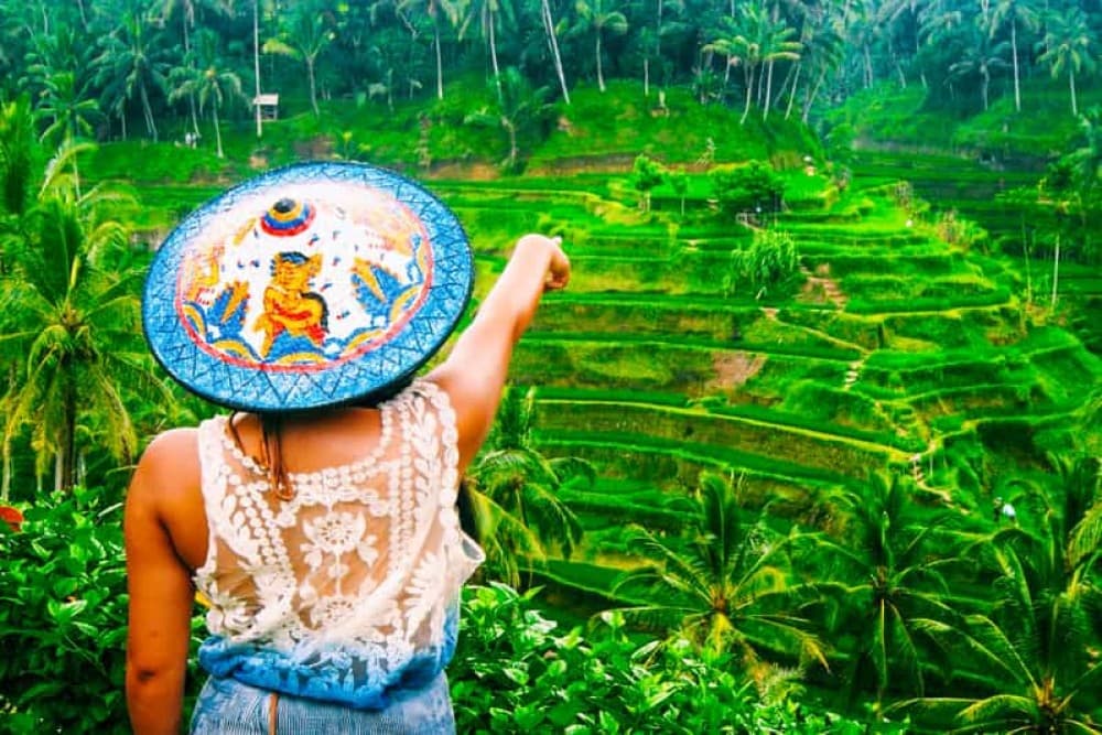 Discover Ubud: 2 Days Ubud Private Tour | ®ExcursionMania - Image 4