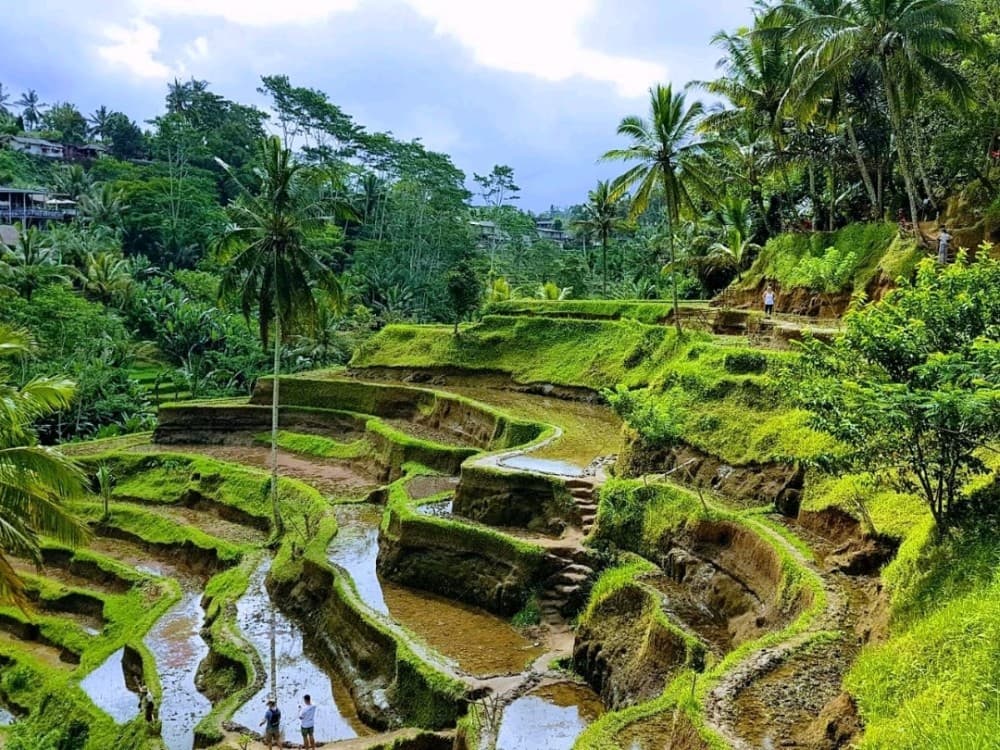 Discover Ubud: 2 Days Ubud Private Tour | ®ExcursionMania - Image 9