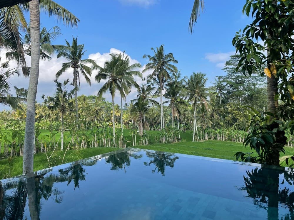 Jungle Buggy Adventure and Ubud Tour | ®ExcursionMania - Image 1