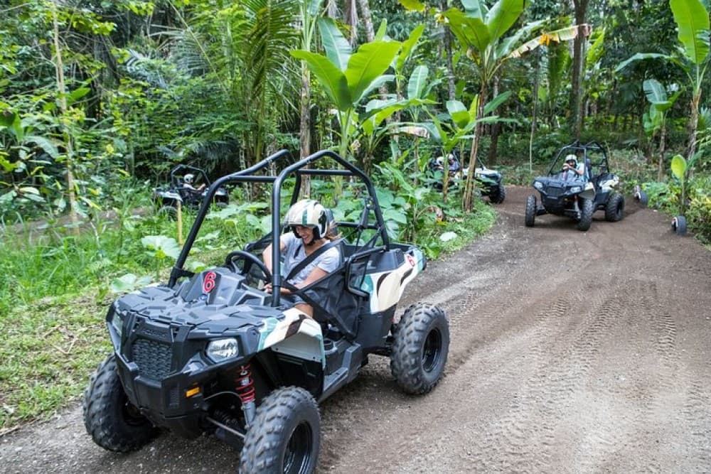 Jungle Buggy Adventure and Ubud Tour | ®ExcursionMania - Image 3