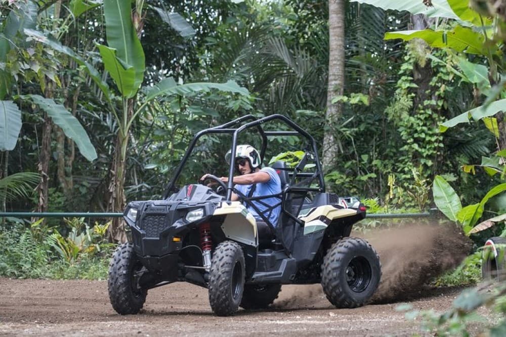 Jungle Buggy Adventure and Ubud Tour | ®ExcursionMania - Image 4