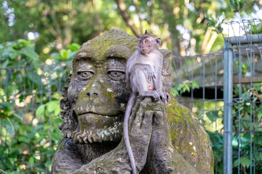 3 Days for the best of Ubud Private Tour | ®ExcursionMania - Image 3