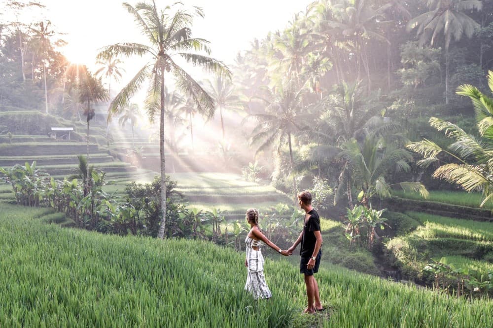 3 Days for the best of Ubud Private Tour | ®ExcursionMania - Image 4