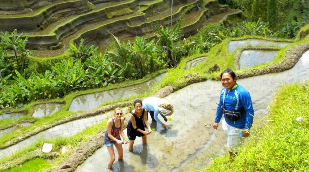 All Inclusive Ubud Tour with 15 Sitter Van | ®ExcursionMania - Image 5