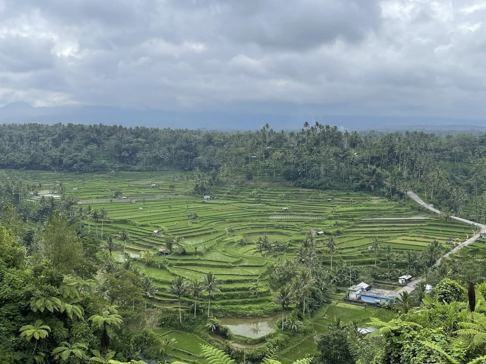 Private Tour: Heaven Gate Temple,Tirta Gangga and Blue Lagoon Snorkell | ®ExcursionMania - Image 11