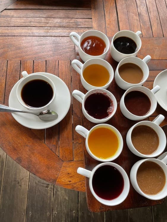 Private Tour: Bali Volcano with Jungle Swing Experience | ®ExcursionMania - Image 10