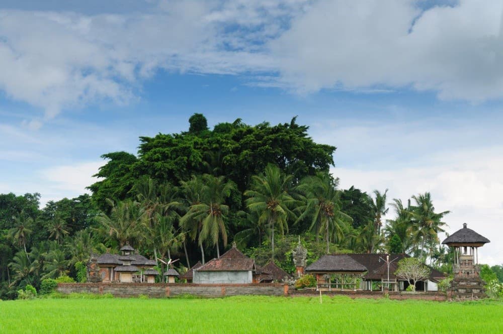 Private Experience: Bali Village Tour | ®ExcursionMania - Image 1