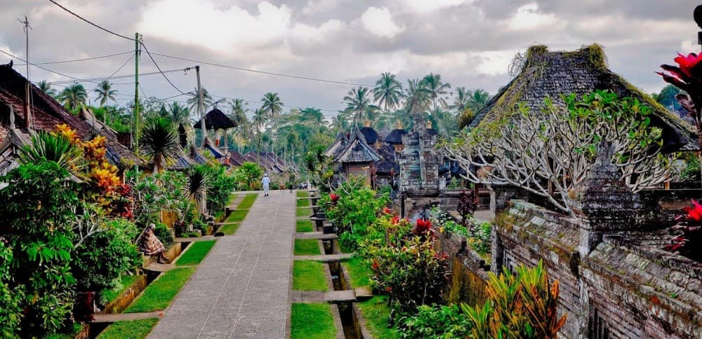 Private Experience: Bali Village Tour | ®ExcursionMania - Image 4
