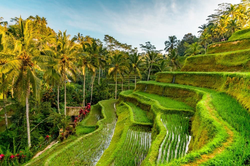 Private Experience: Bali Village Tour | ®ExcursionMania - Image 7