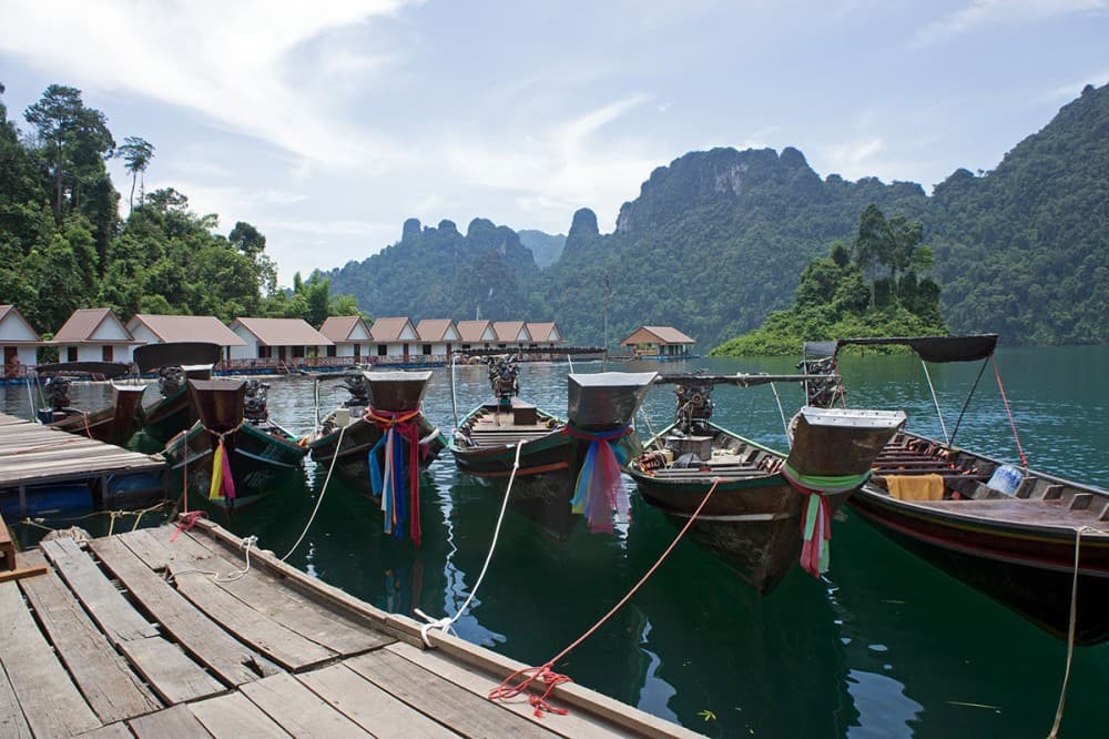 Surat Thani: Khao Sok National Park to Donsak Pier | ®ExcursionMania - Image 3