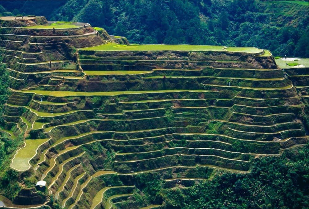 Discover Hidden Waterfall, Unesco Rice Terraces and Mountain Temple | ®ExcursionMania - Image 3
