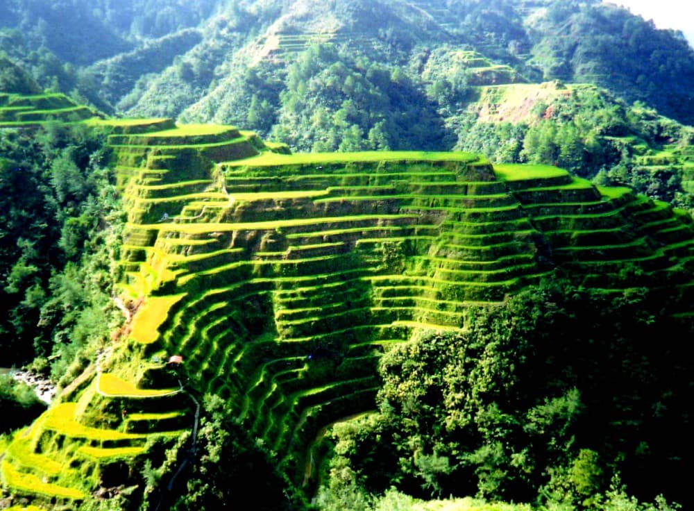Discover Hidden Waterfall, Unesco Rice Terraces and Mountain Temple | ®ExcursionMania - Image 4