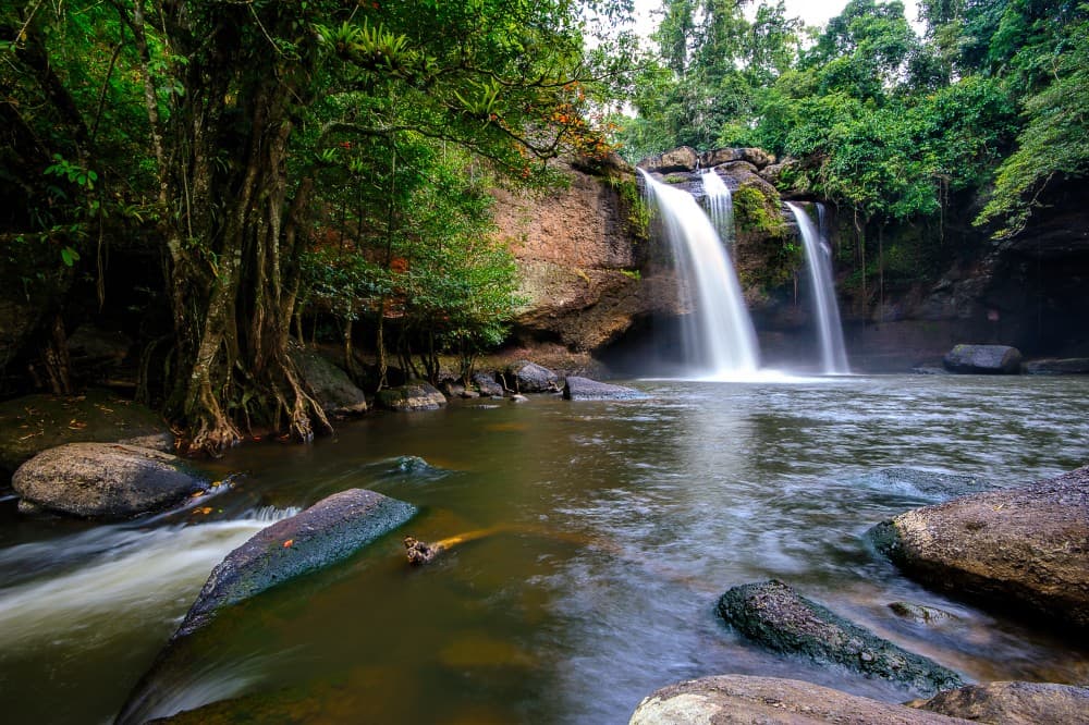 UNESCO World Heritage Site : Khao Yai National Park Tour | ®ExcursionMania - Image 4