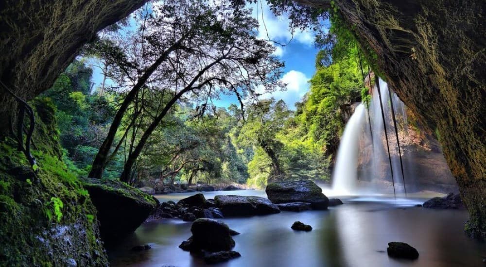 UNESCO World Heritage Site : Khao Yai National Park Tour | ®ExcursionMania - Image 8