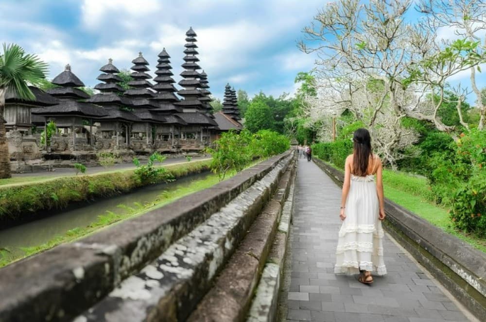 Private Shore Excursion: Customized Best of Bali Tour | ®ExcursionMania - Image 4