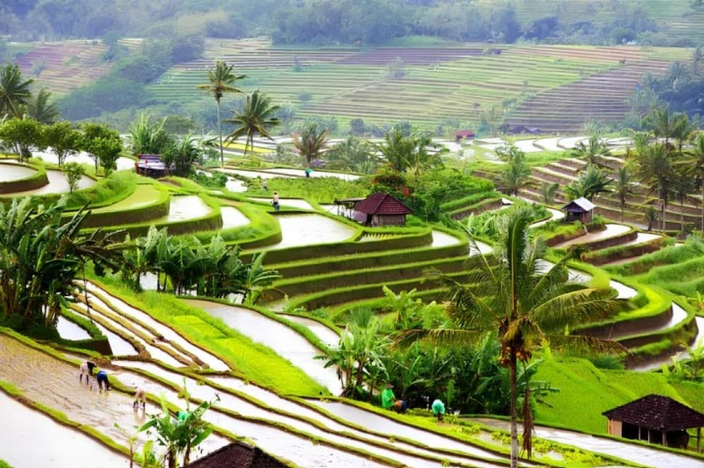 Private Shore Excursion: Customized Best of Bali Tour | ®ExcursionMania - Image 9