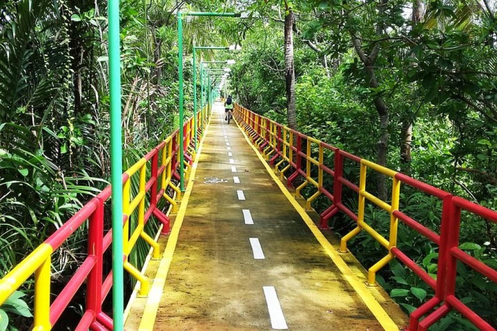 Bangkoks Hidden Oasis : Explore Bangkoks Green Lung, Bang Krachao | ®ExcursionMania - Image 7