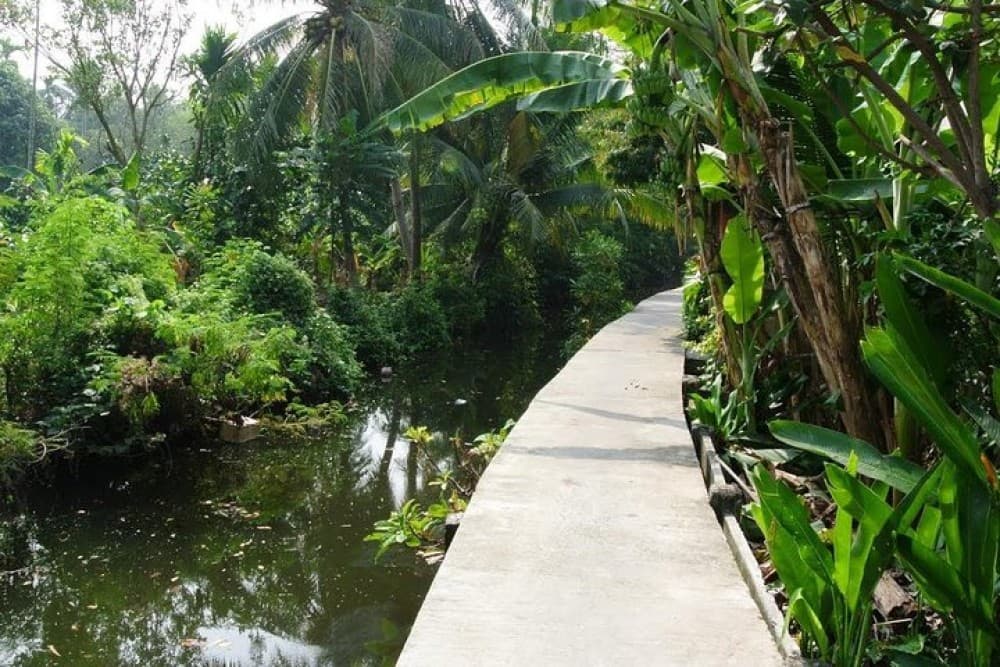 Bangkoks Hidden Oasis : Explore Bangkoks Green Lung, Bang Krachao | ®ExcursionMania - Image 8