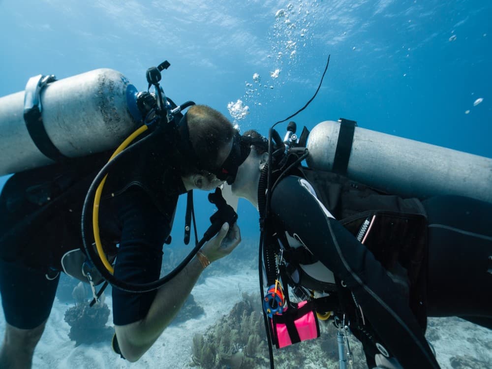 Marmaris Full Day Scuba Diving Two Dives With Lunch  Hotel Pickup | ®ExcursionMania - Image 3