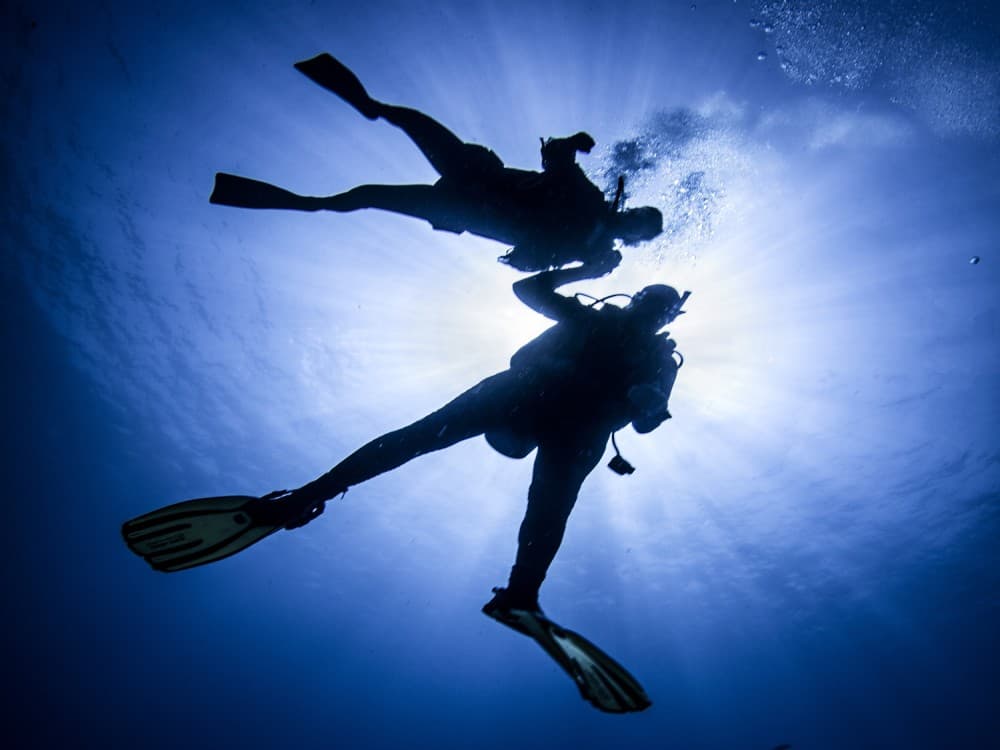 Marmaris Full Day Scuba Diving Two Dives With Lunch  Hotel Pickup | ®ExcursionMania - Image 9