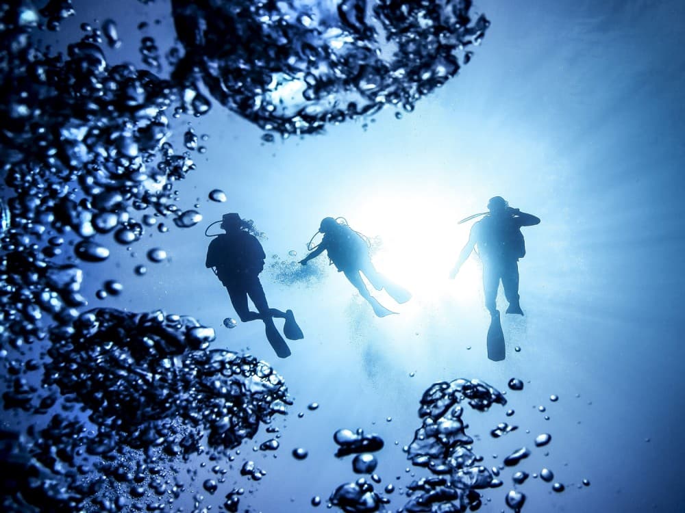 Marmaris Full Day Scuba Diving Two Dives With Lunch  Hotel Pickup | ®ExcursionMania - Image 10