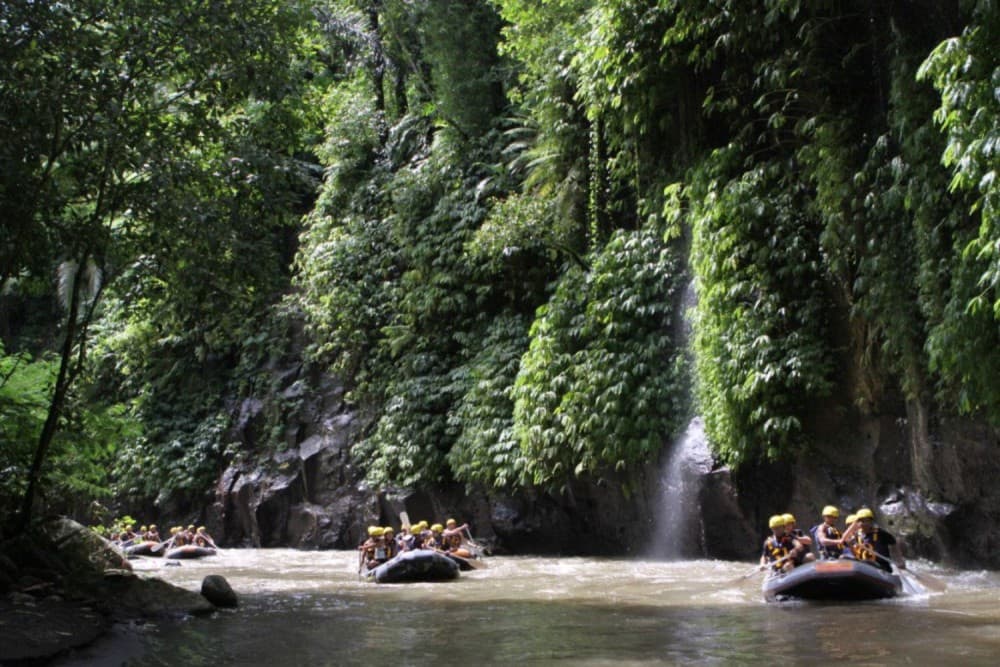 Full-Day Ayung River White Water Rafting and Ubud Tour | ®ExcursionMania - Image 4