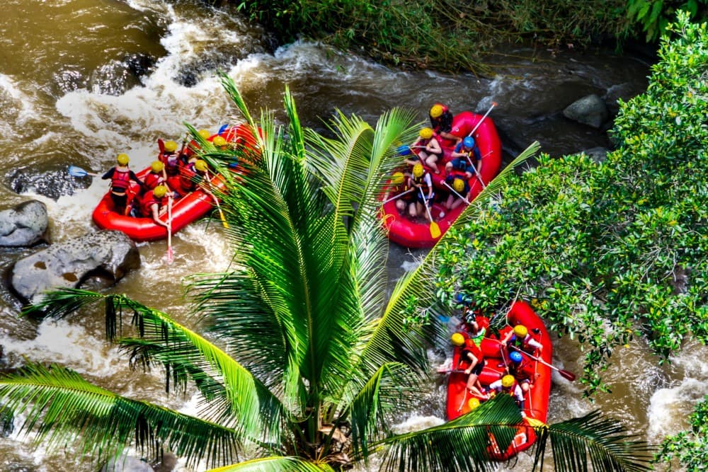Full-Day Ayung River White Water Rafting and Ubud Tour | ®ExcursionMania - Image 9