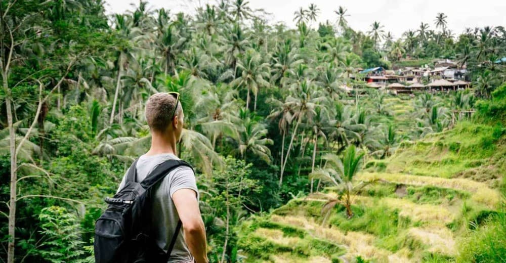 Private Tour: Ubud and Tanah Lot Day Tour | ®ExcursionMania - Image 2