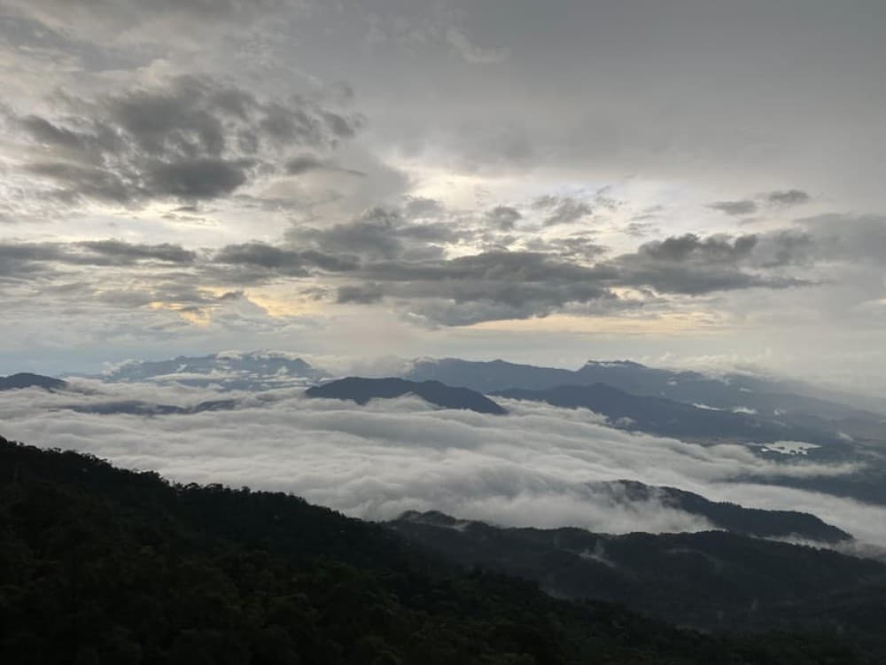 Chan May Port/Tien Sa Port to Golden Bridge and Ba Na Hills | ®ExcursionMania - Image 1