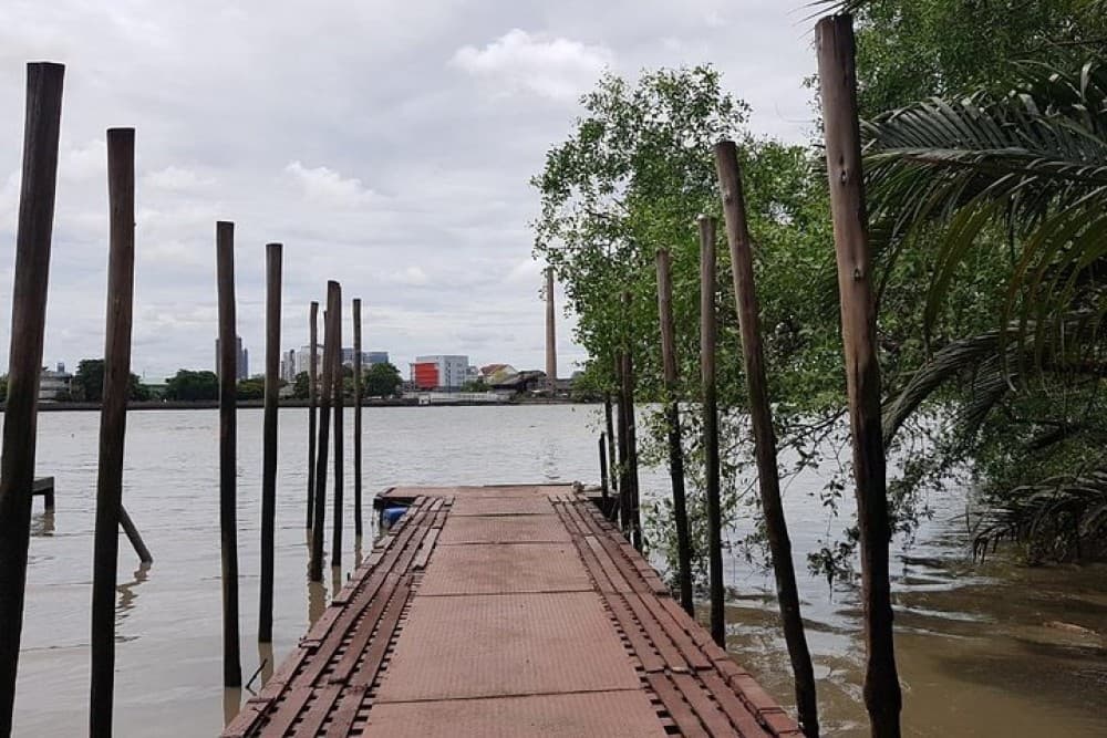 Lost in Bangkok : Green Lung Jungle Bicycle Ride with Lunch | ®ExcursionMania - Image 5