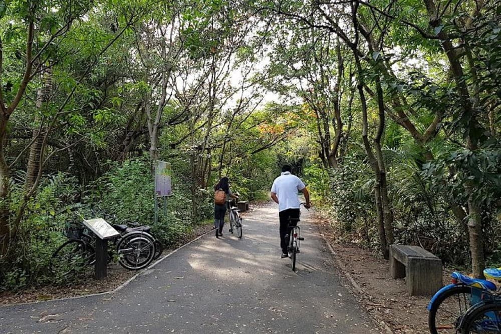 Lost in Bangkok : Green Lung Jungle Bicycle Ride with Lunch | ®ExcursionMania - Image 8