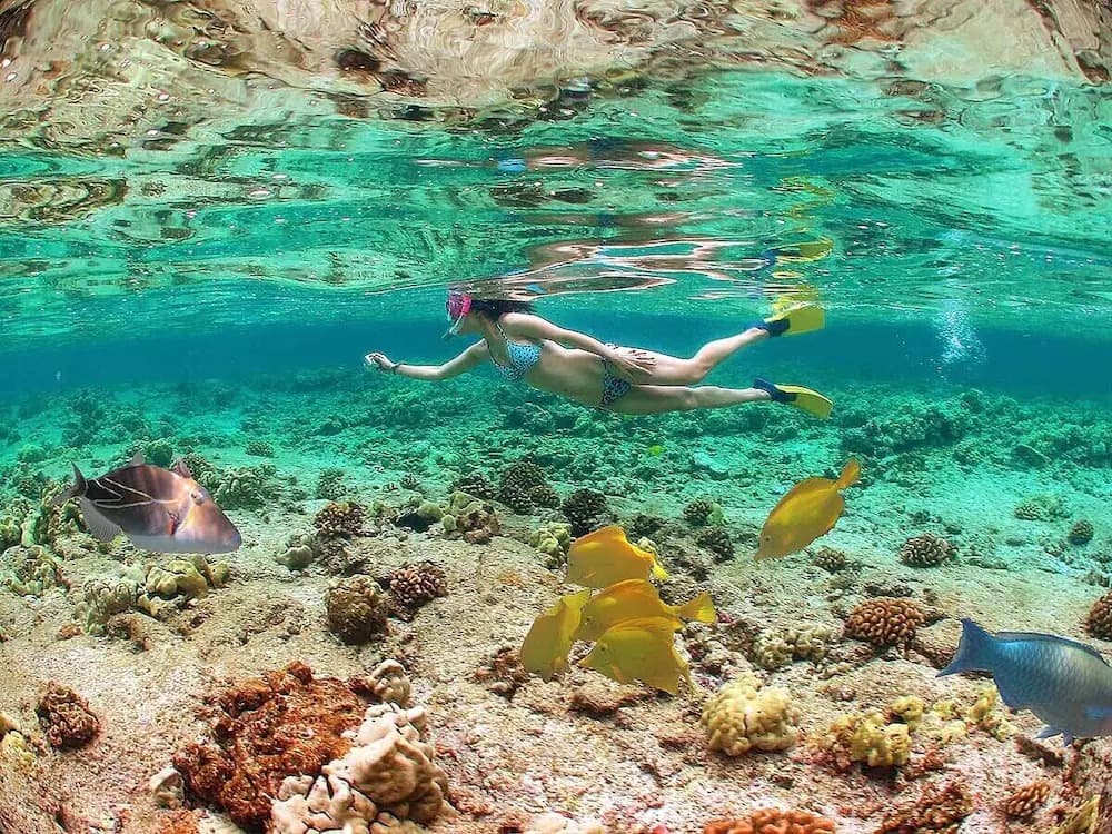 Turunc Snorkeling Tour With Free Lunch & Equipments | ®ExcursionMania - Image 7