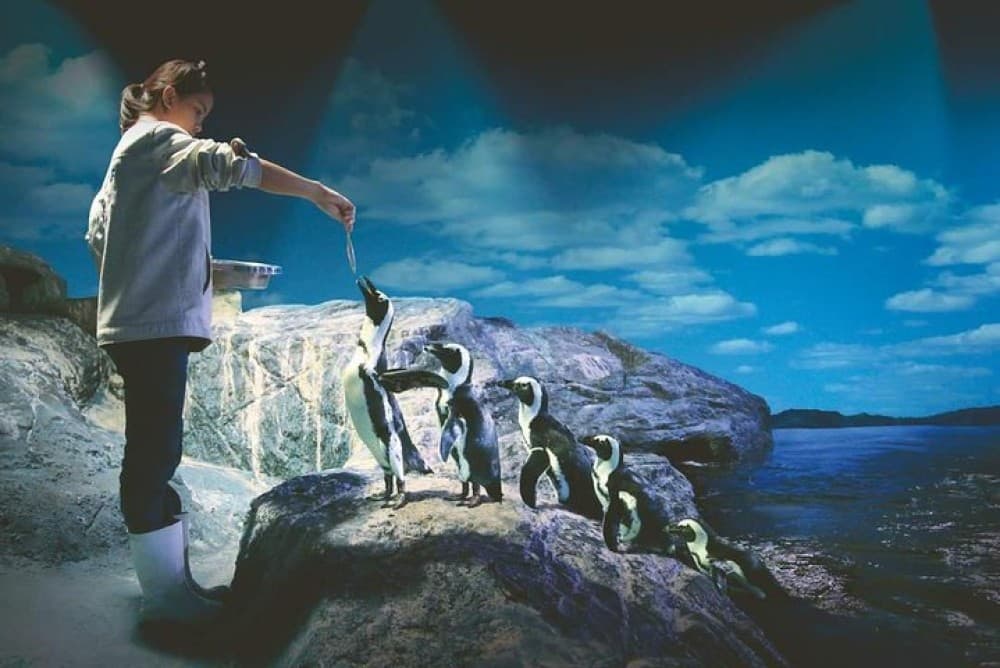 SEA LIFE Ocean World at Bangkok Admission Ticket | ®ExcursionMania - Image 4