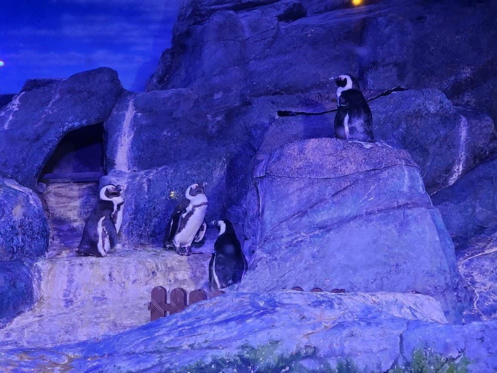 SEA LIFE Ocean World at Bangkok Admission Ticket | ®ExcursionMania - Image 5