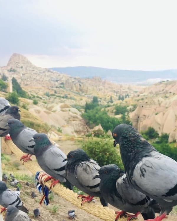 Cappadocia Green Tour | ®ExcursionMania - Image 1