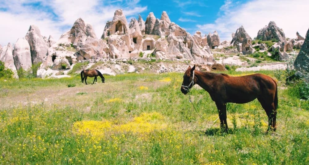 Cappadocia: Horseback Riding Adventure Tour | ®ExcursionMania - Image 6