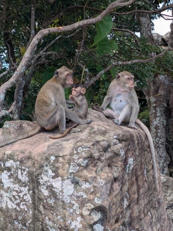Full-Day Preah Vihear & Koh Ker Temple Small Group Shared Tour | ®ExcursionMania - Image 3