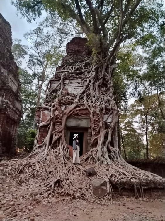 Full-Day Preah Vihear & Koh Ker Temple Small Group Shared Tour | ®ExcursionMania - Image 9