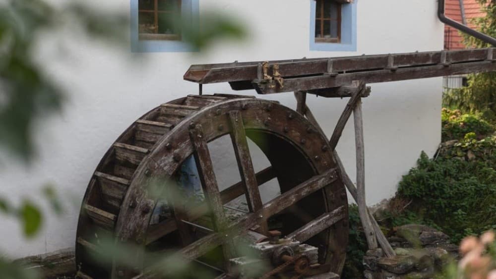 Carpathian Wine tasting tour  Red Stone Castle Bratislava | ®ExcursionMania - Image 4