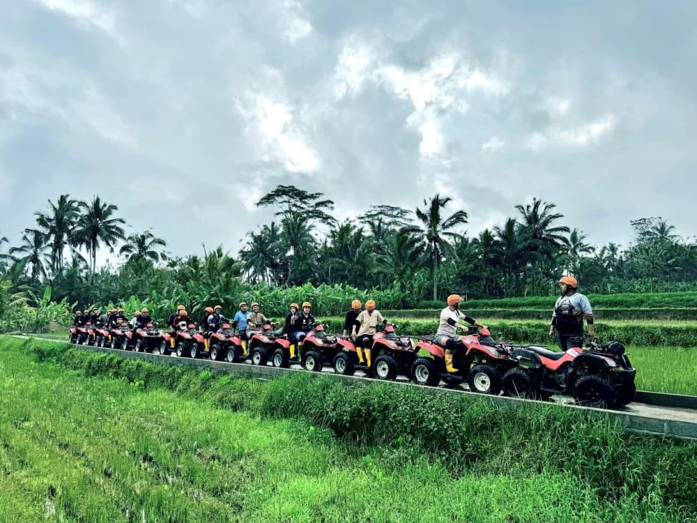 Ubud: ATV Quad Biking Adventure Guided Tour | ®ExcursionMania - Image 8