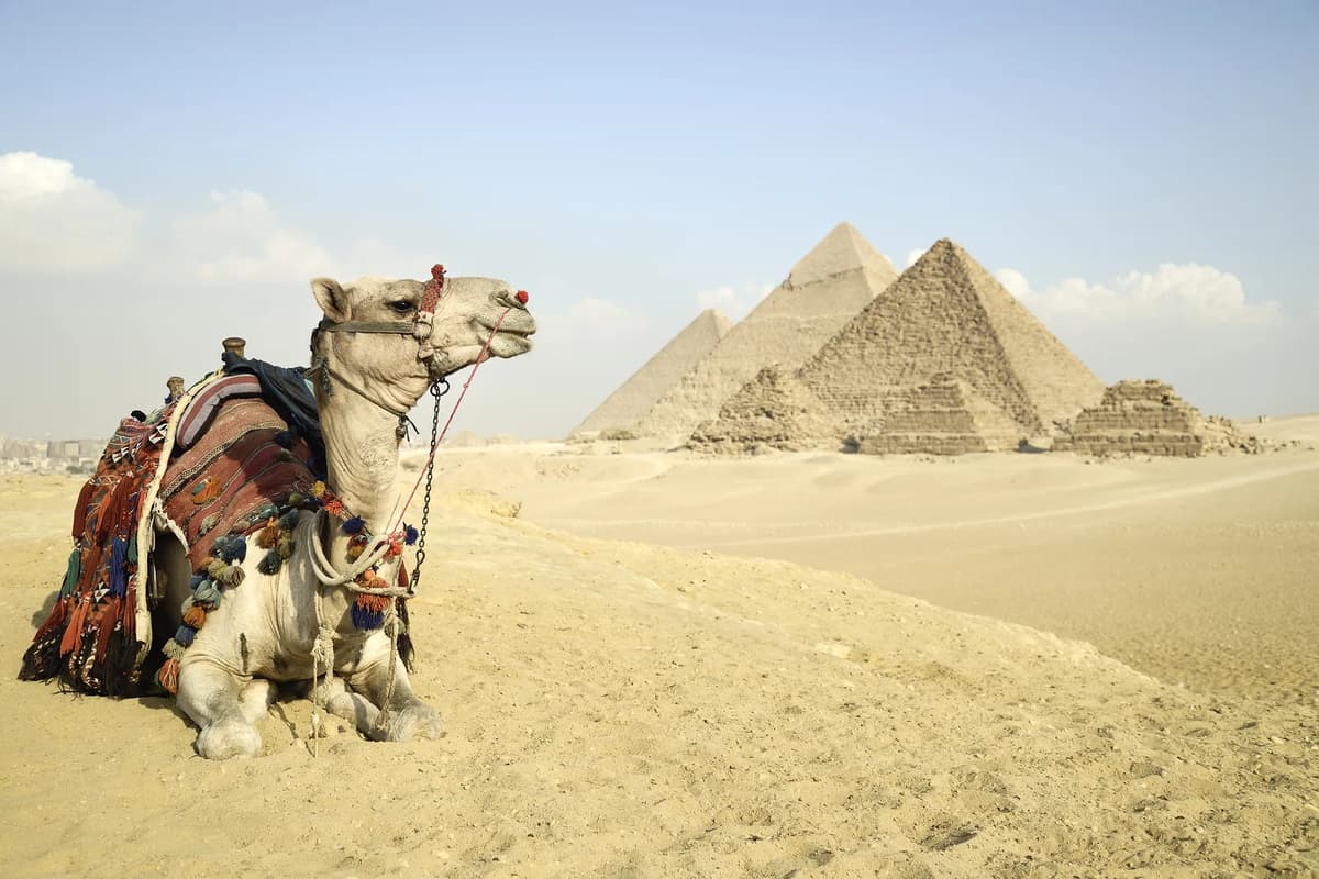 11 DAYS EGYPT & AROUND  Itinerary for 11 nights  12 days | ®ExcursionMania - Image 8