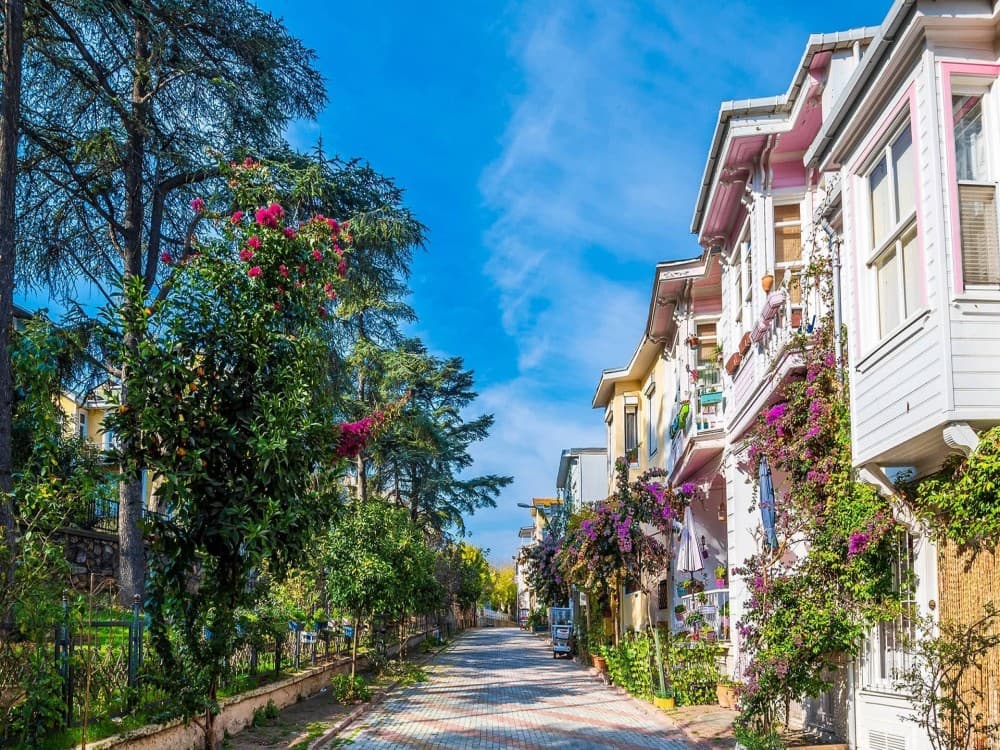 From Istanbul: Princess Islands Tour with Hotel Transfer & Lunch | ®ExcursionMania - Image 1