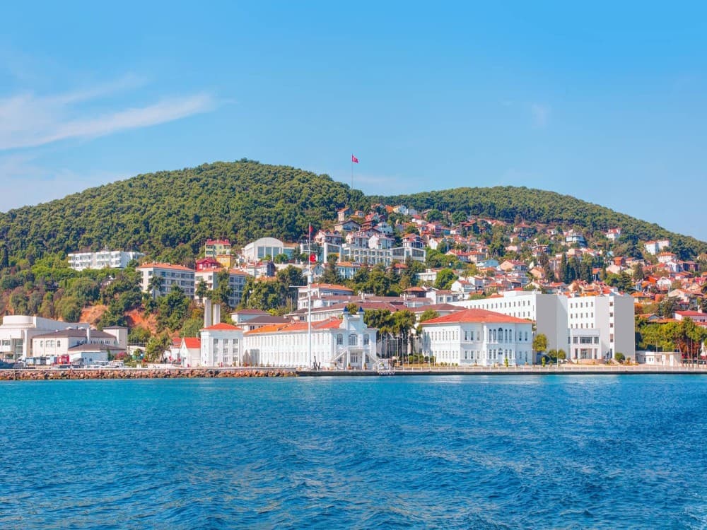 From Istanbul: Princess Islands Tour with Hotel Transfer & Lunch | ®ExcursionMania - Image 3