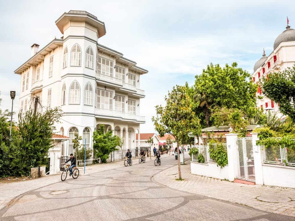 From Istanbul: Princess Islands Tour with Hotel Transfer & Lunch | ®ExcursionMania - Image 5