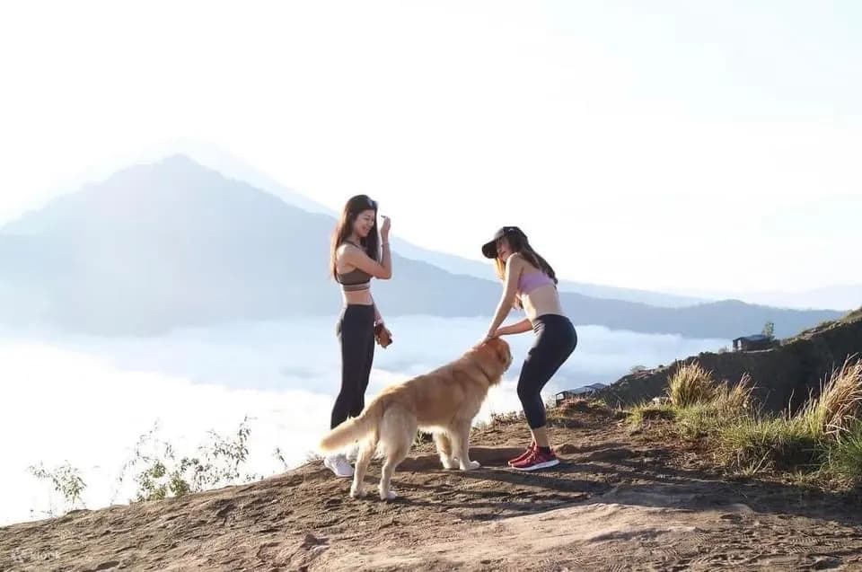 Kintamani Cafes and Mount Batur Sunrise Trekking Tour in Bali | ®ExcursionMania - Image 6