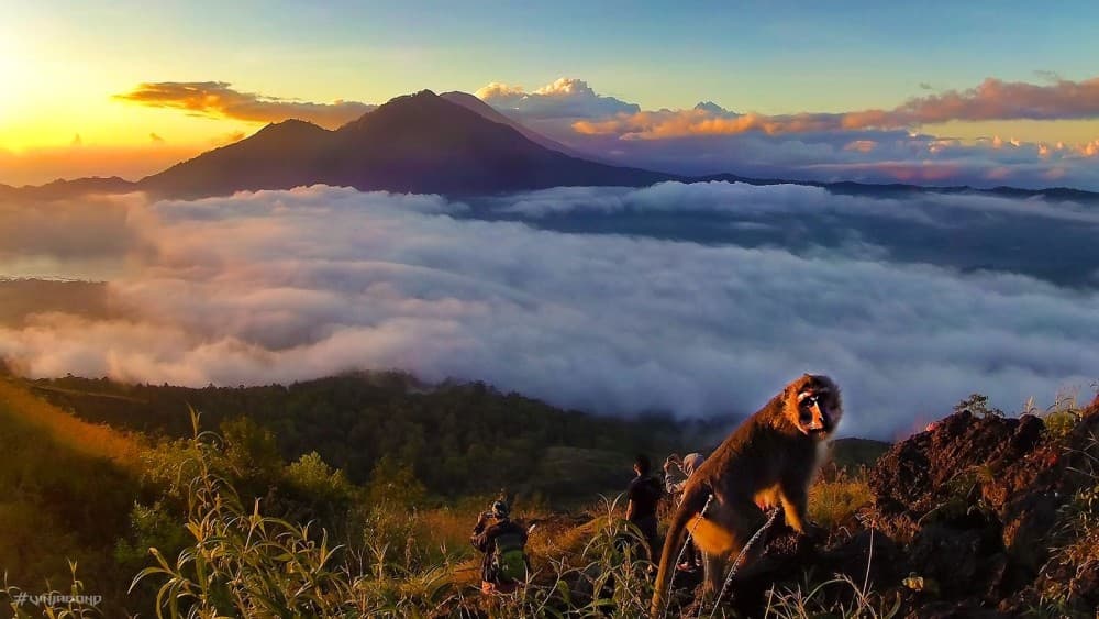 Ulun Danu Batur & Mount Batur Sunrise Day Tour with Photographer | ®ExcursionMania - Image 2