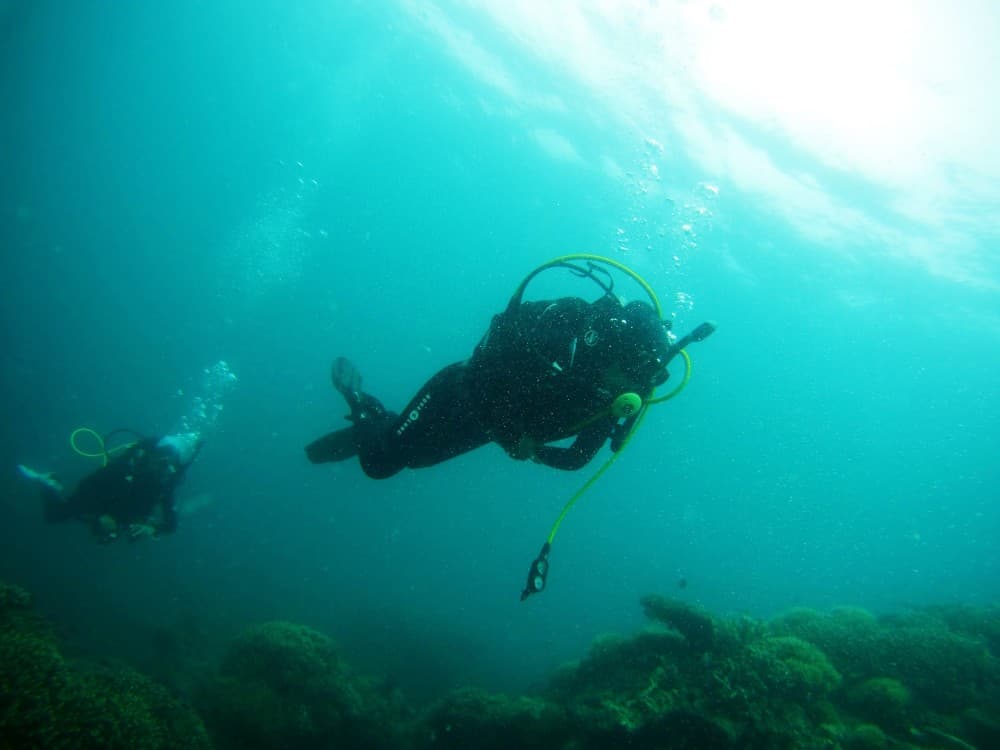 From Hurghada: Scuba Diving with Expert Guide & 2 Dives | ®ExcursionMania - Image 6