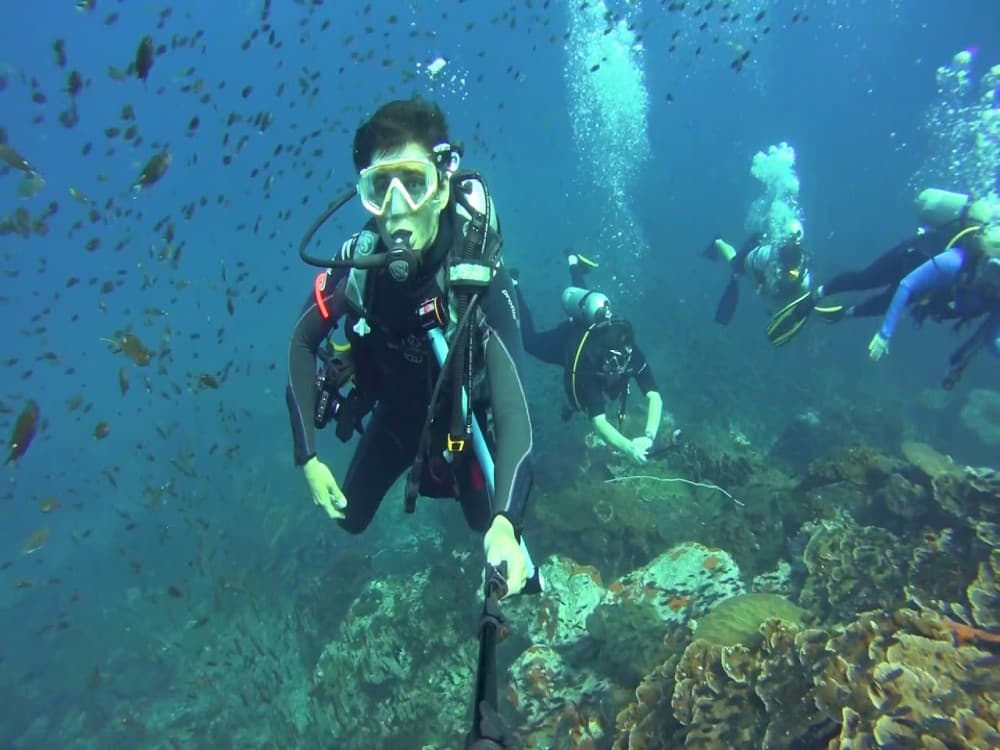 Side Scuba Diving w/ Hotel Transfer and 2 Dives | ®ExcursionMania - Image 3