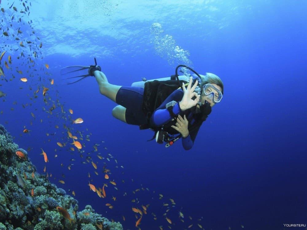 Side Scuba Diving w/ Hotel Transfer and 2 Dives | ®ExcursionMania - Image 5